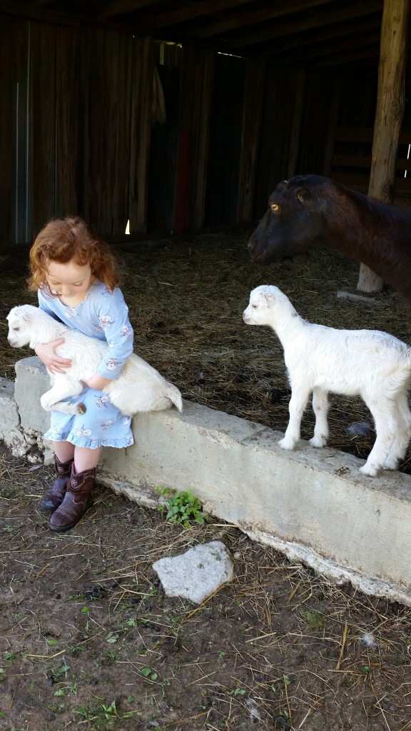 amelia and goats
